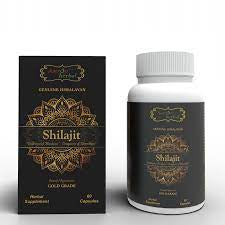 Astron Herbal Shilajit Capsules